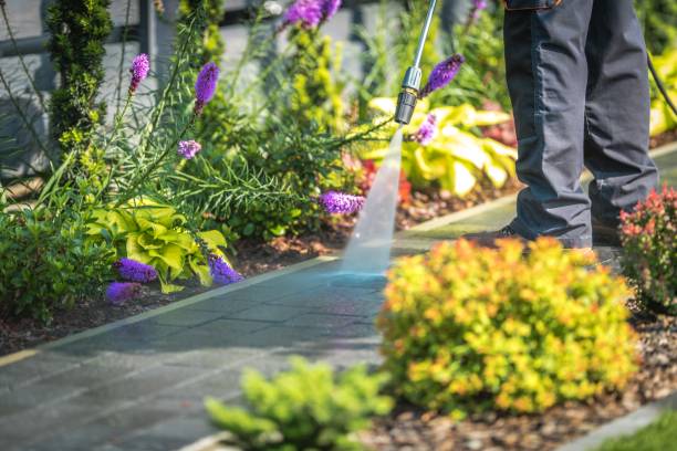 Spring Cleaning in West Vero Corridor, FL